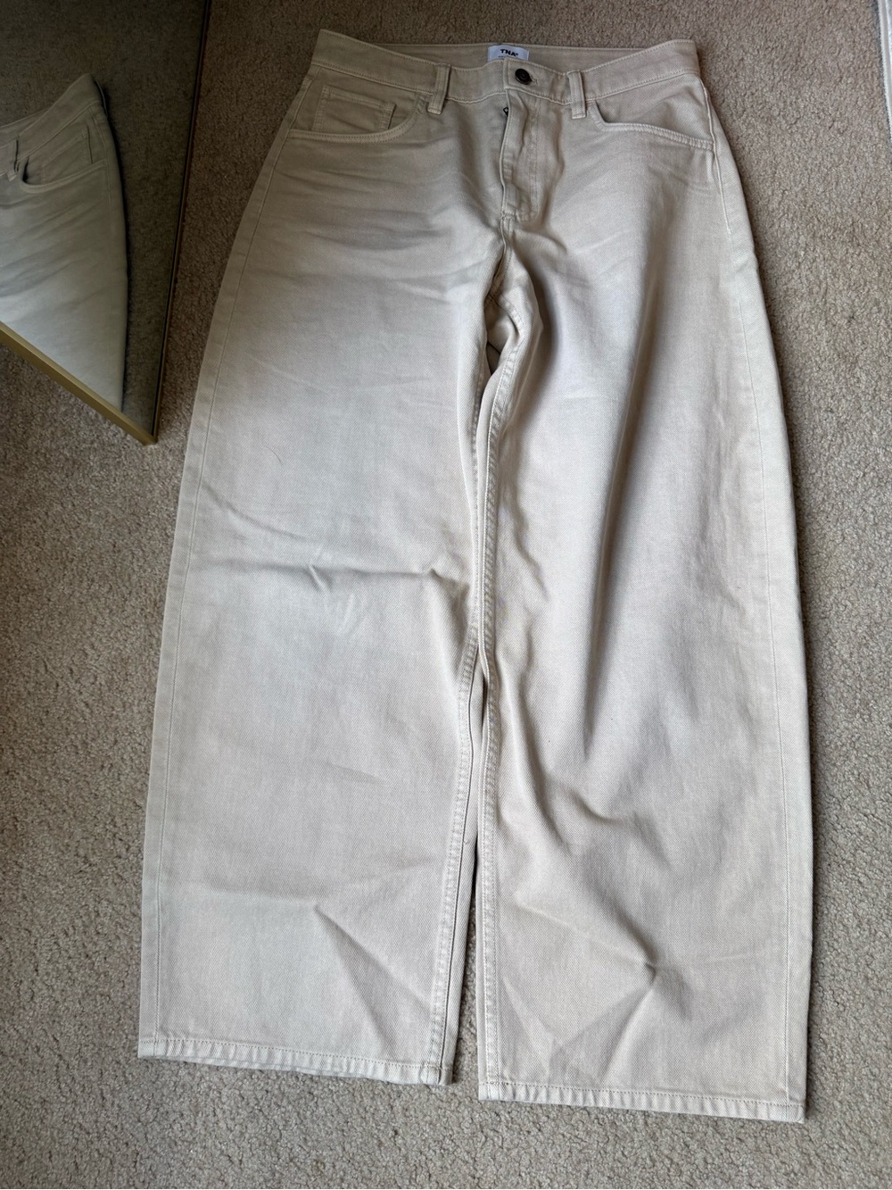 Aritzia tna pants size 6